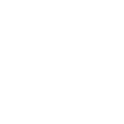 Mannheimer Stadtfest
